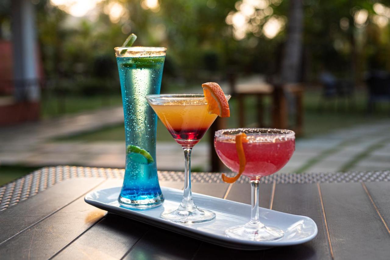 Wild Berry Resort Agonda Canacona Exterior photo